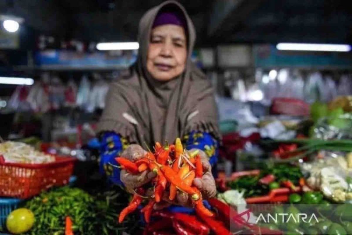 Sabtu ini, harga cabai rawit Rp40.030 per kg