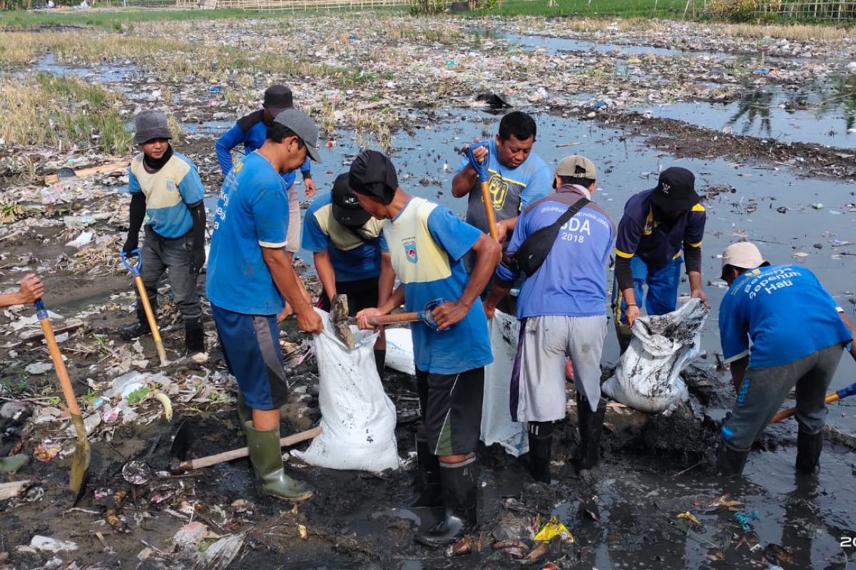 Sebanyak 36 hektare lahan pertanian di Mataram terdampak banjir