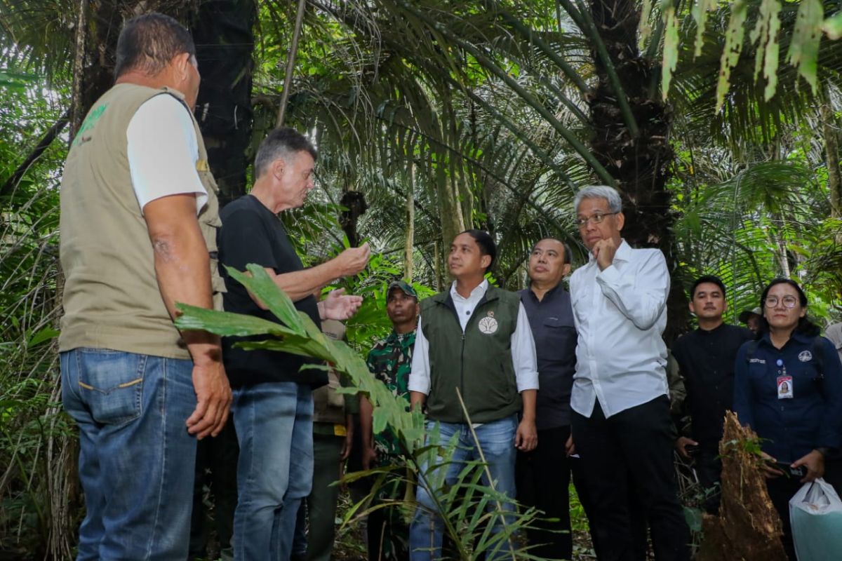 Menhut  siapkan kawasan hutan untuk bioethanol dukung swasembada energi