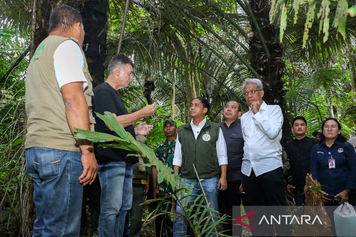 Minister prepares forests for bioethanol to enhance energy security