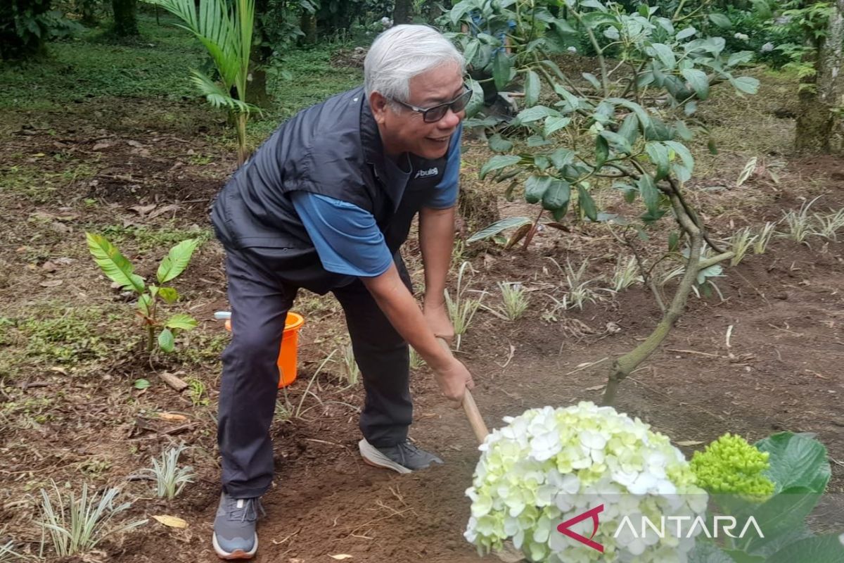 Bulog tanam 413 bibit pohon alpukat untuk amankan hulu sungai Brantas Jatim