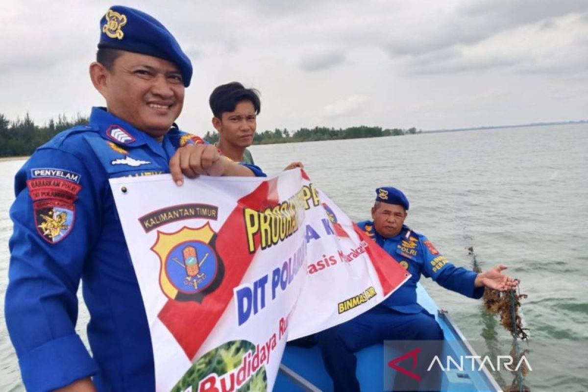 Polda Kaltim dukung ketahanan pangan melalui budidaya rumput laut