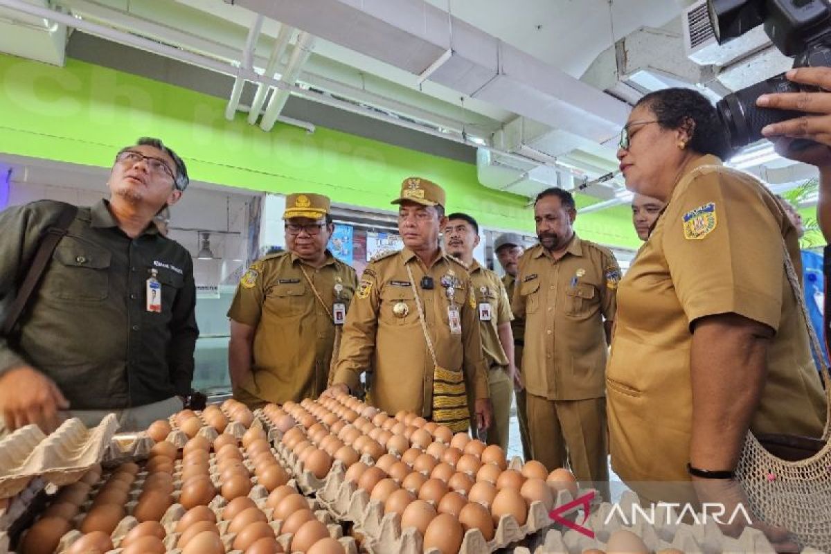 Pemprov Papua: Stok telur ayam jelang Natal kondisi aman