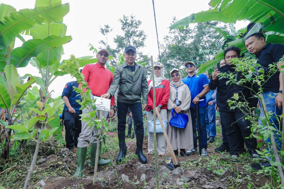 Pemkot Bandung bersama 50 perguruan tinggi menanam 717 pohon di KBU