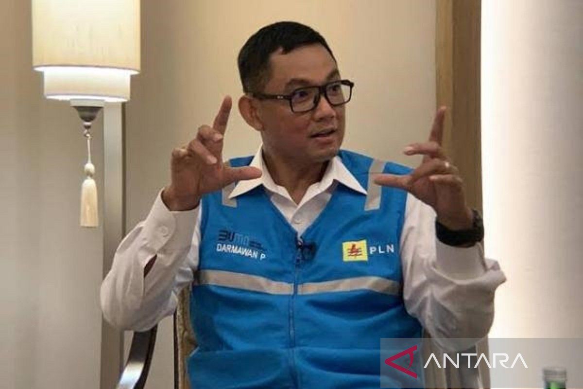 PLN dorong pembangunan listrik proyek strategis nasioal