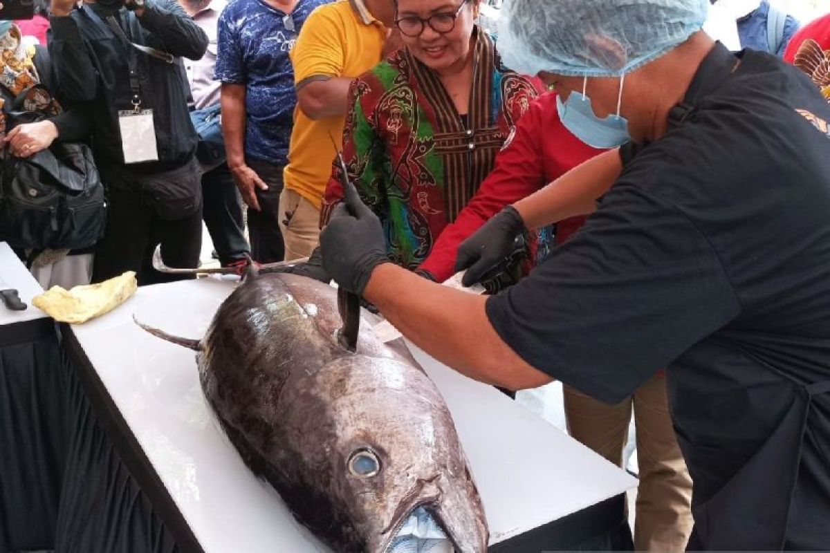 Nelayan OAP suplai ikan tuna menu makan bergizi 2.000 anak sekolah