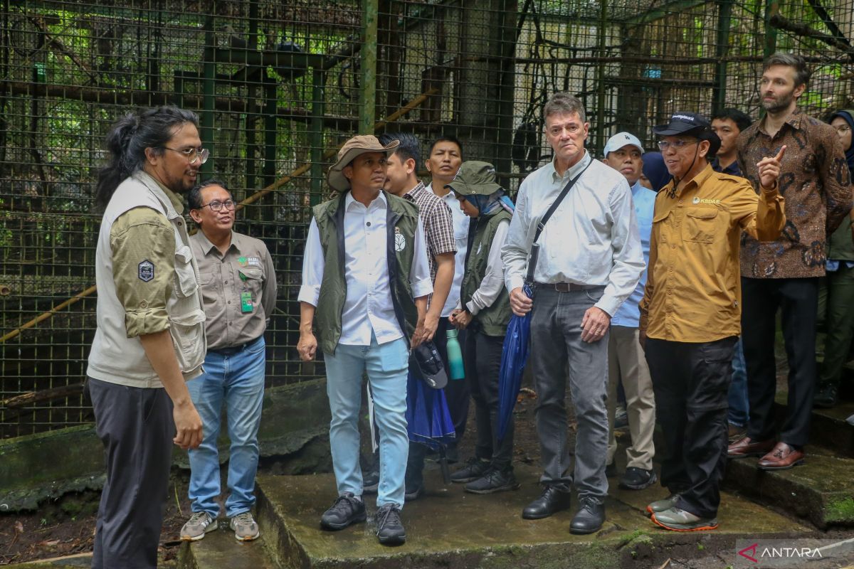 Menhut: Anjing pelacak jadi salah satu upaya antisipasi penyelundupan satwa