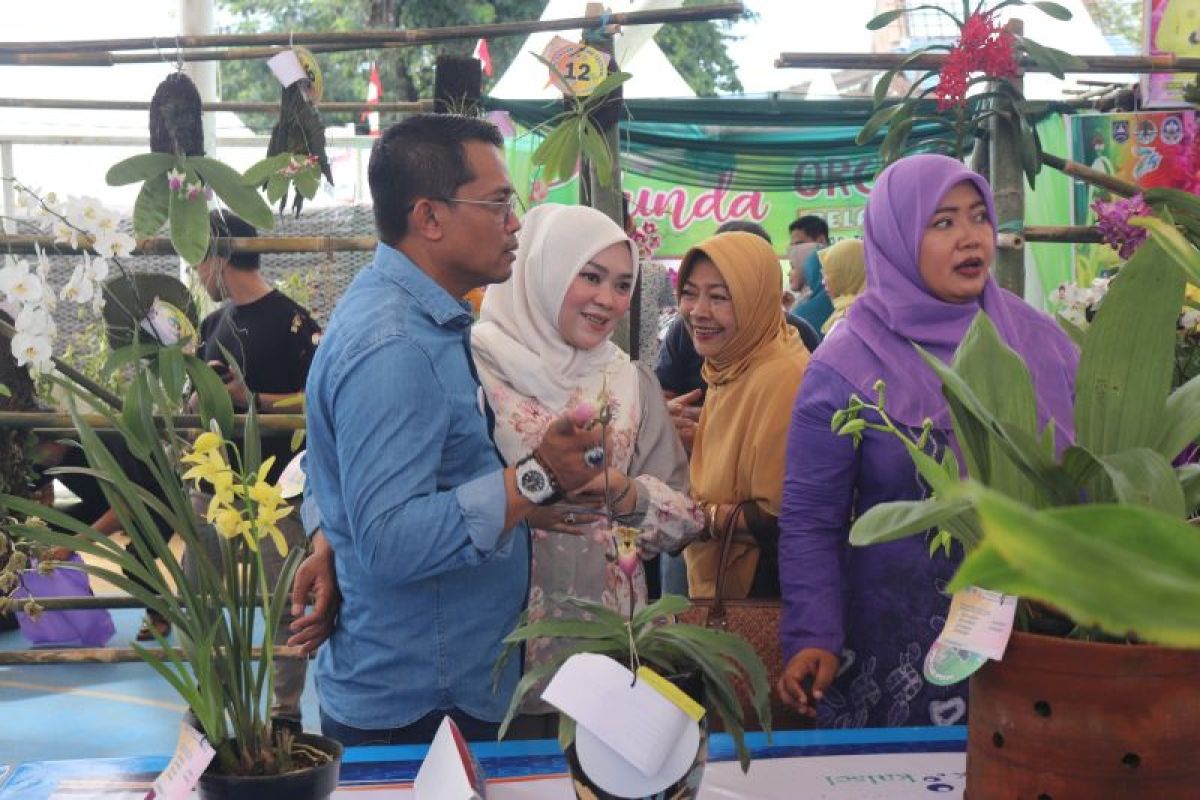 Kandangan Orchid Festival dan Kontes Bonsai meriahkan hari jadi HSS