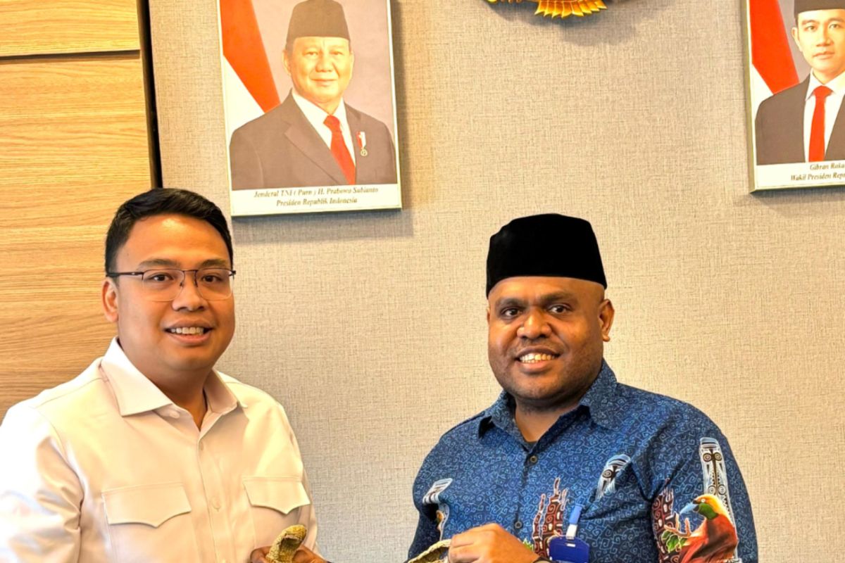 Wamenkomdigi bantu pemerataan akses digital dan informasi di Papua