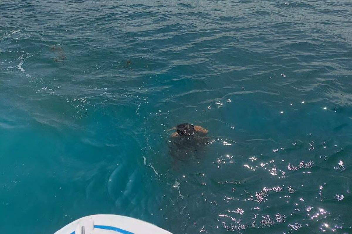 Tim SAR temukan jenazah pemancing terseret pasangnya air laut di Batam