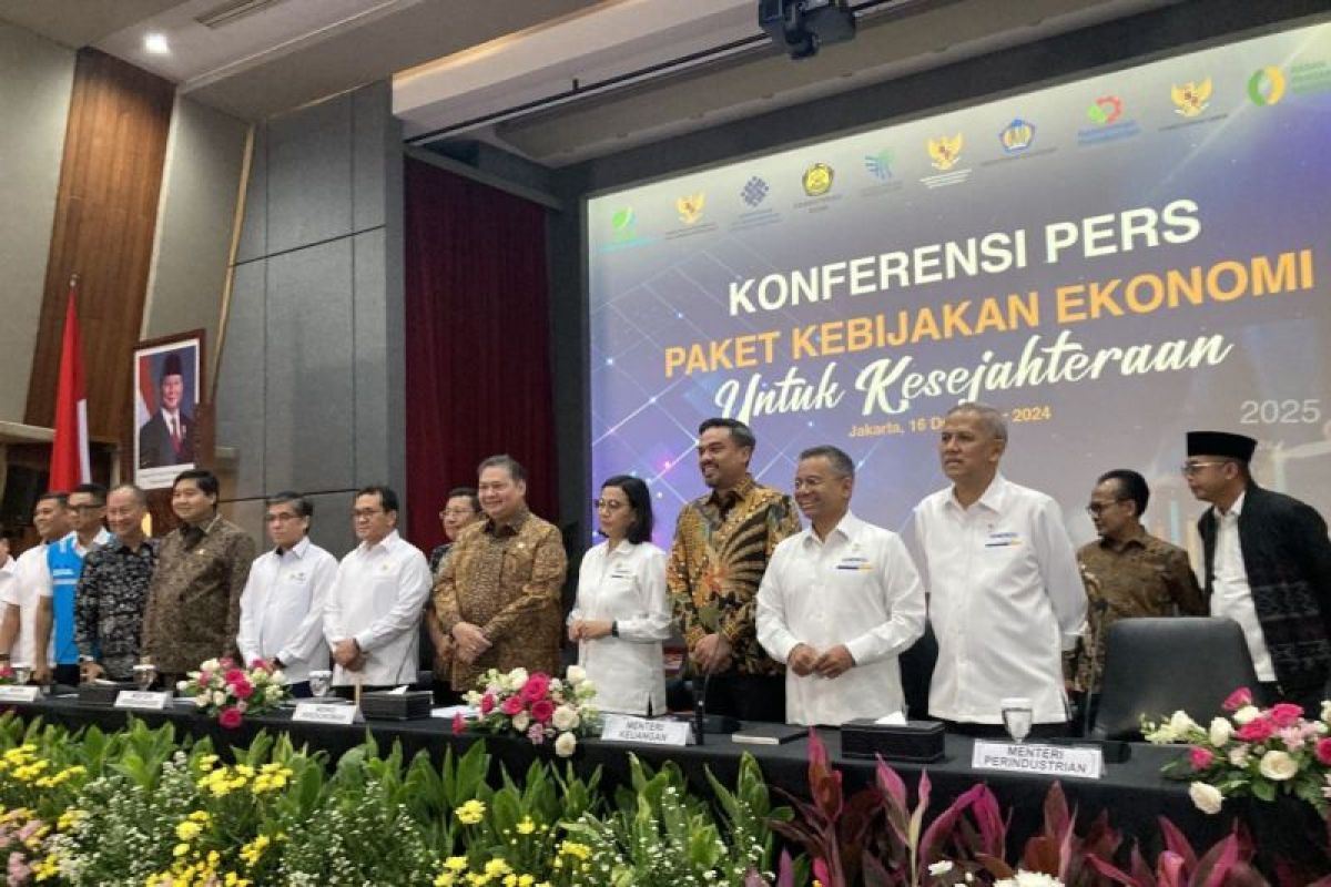 Pemerintah akan tanggung kenaikan PPN 1 persen untuk 3 komoditas