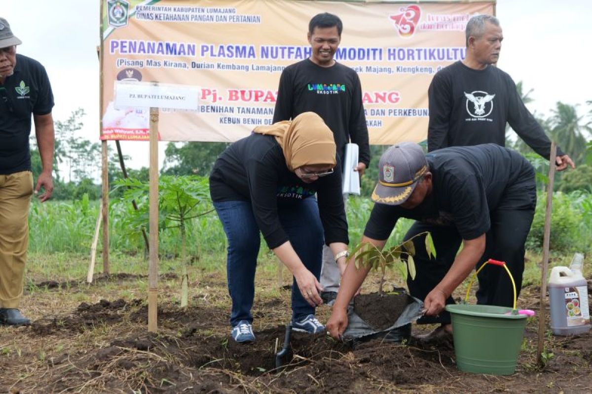 Pj Bupati Lumajang tanam plasma nutfah komoditas unggulan