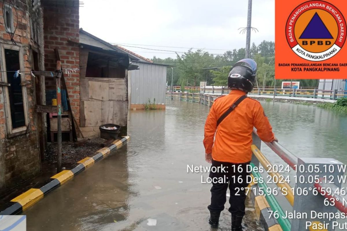 BPBD mewaspadai buaya di pemukiman warga terdampak banjir