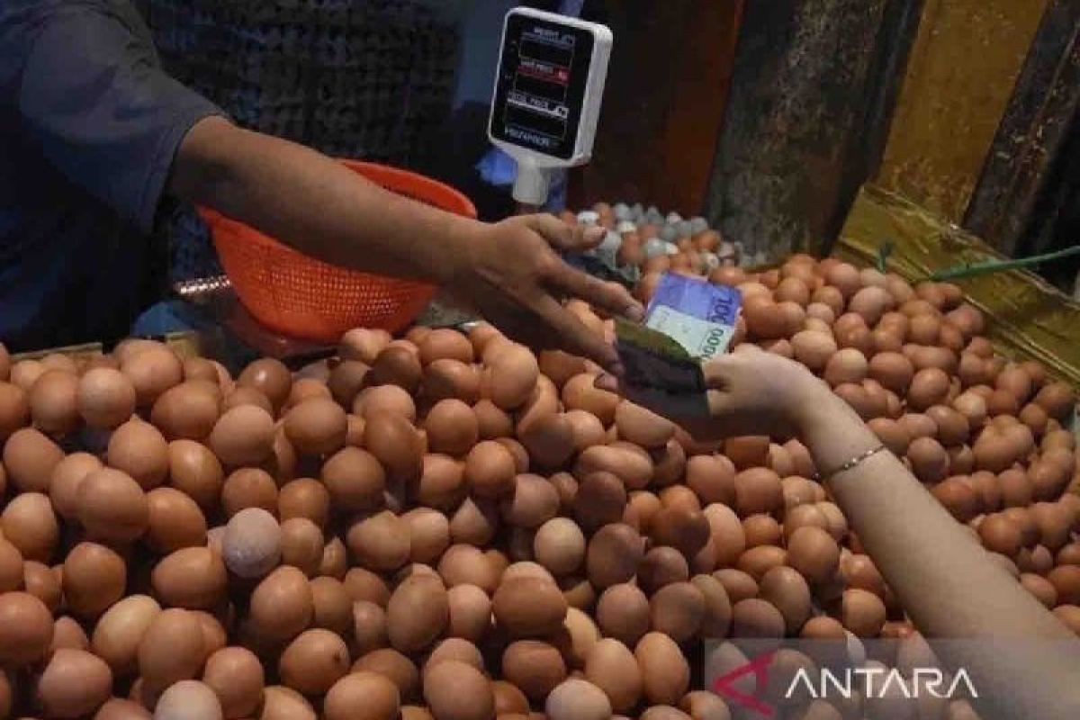 Harga pangan hari ini, telur ayam naik jadi Rp31.690 per kg