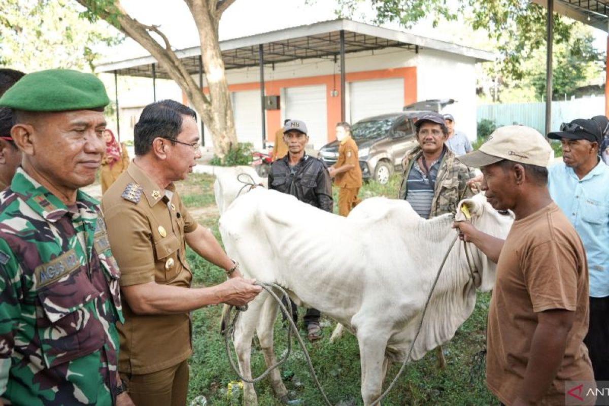 Pemkab Sigi tingkatkan kesejahteraan masyarakat dengan pemberdayaan peternak