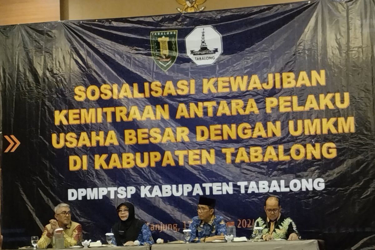 DPMPTSP Tabalong sosialisasikan kewajiban kemitraan pelaku usaha dengan UMKM