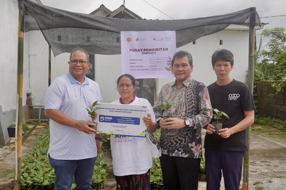 PNM dorong pengembangan usaha petani kopi Kintamani melalui pemberdayaan dan kolaborasi