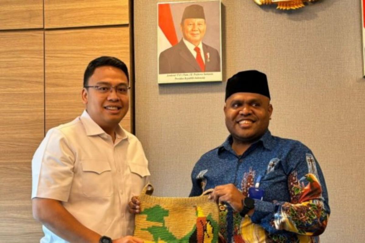 Wamenkomdigi tegaskan komitmen pemerataan akses informasi di Papua