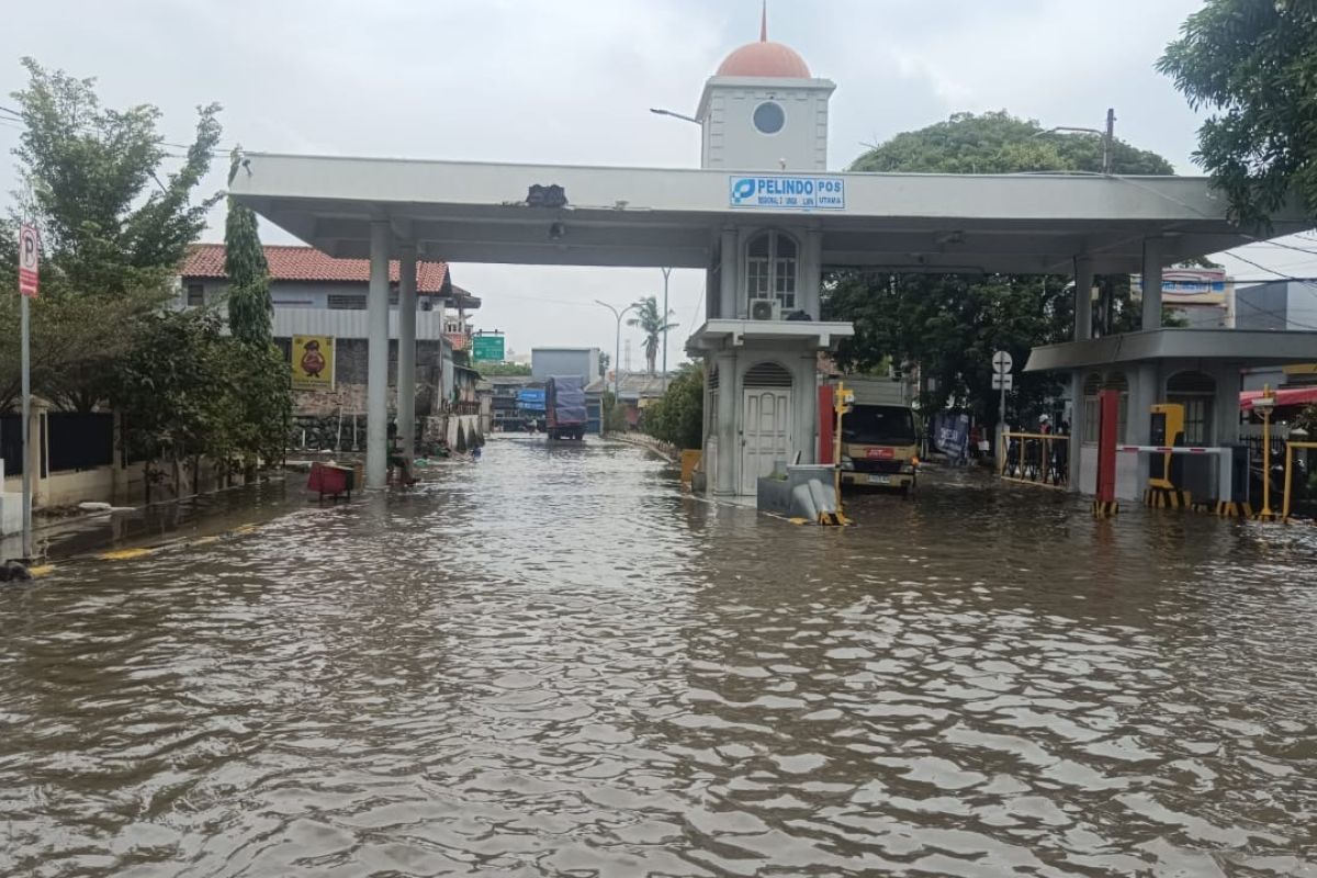 Tiga RT di Pluit terendam banjir rob hingga 70 centimeter pada Selasa pagi