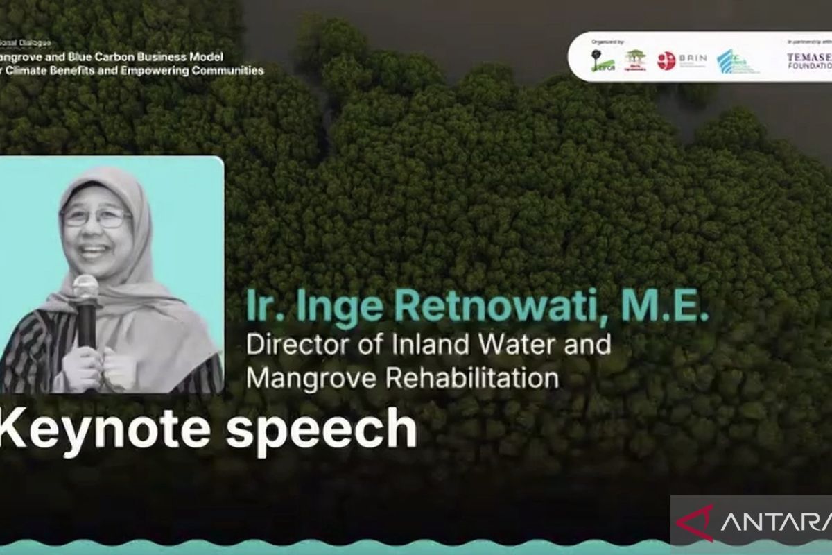 Kemenhut sebut RPP mangrove dukung peningkatan kapasitas komunitas