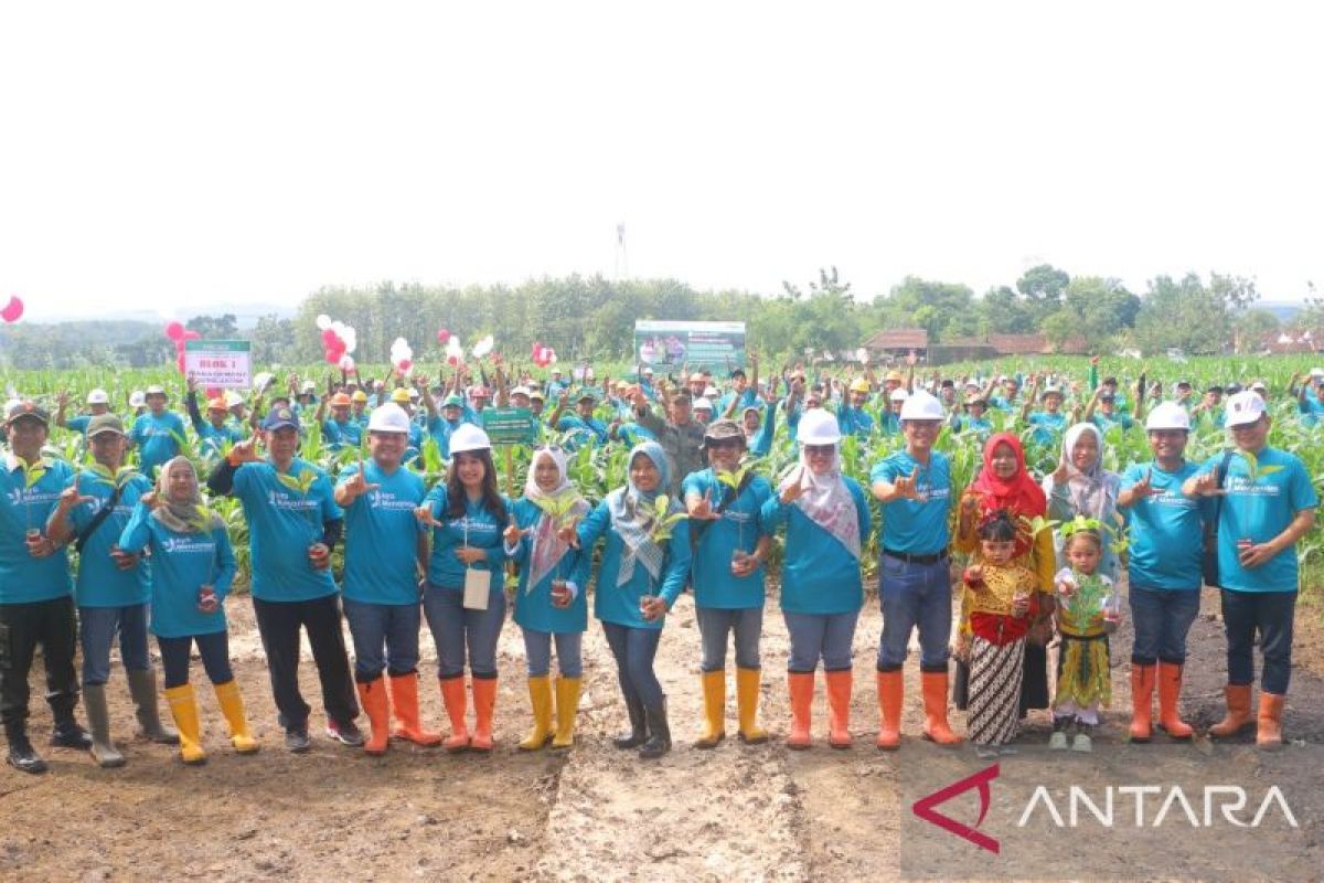 Perhutani Divre Jatim canangkan groundbreaking tanaman 2024