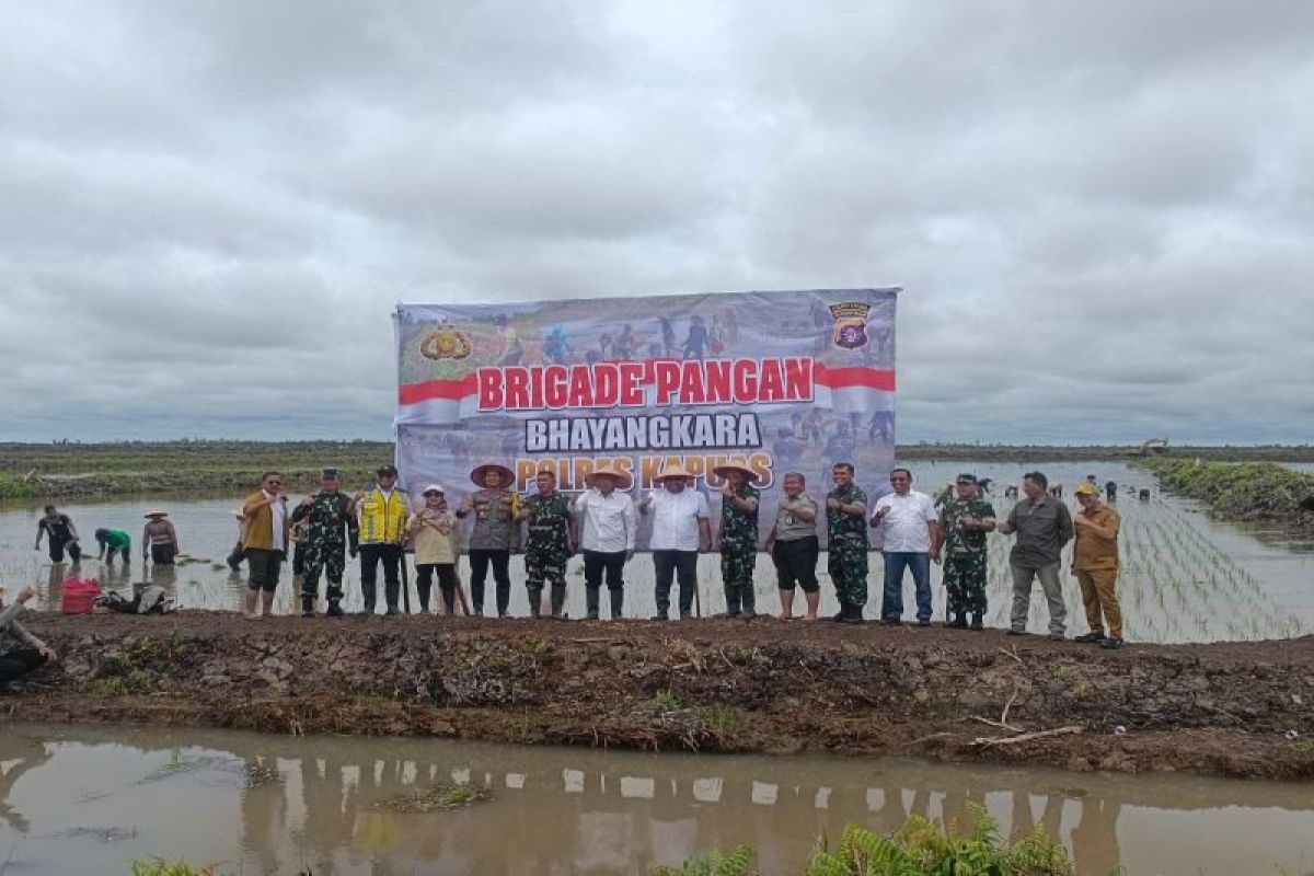 Kementan gandeng TNI-Polri perkuat konsolidasi Brigade Pangan di Kapuas