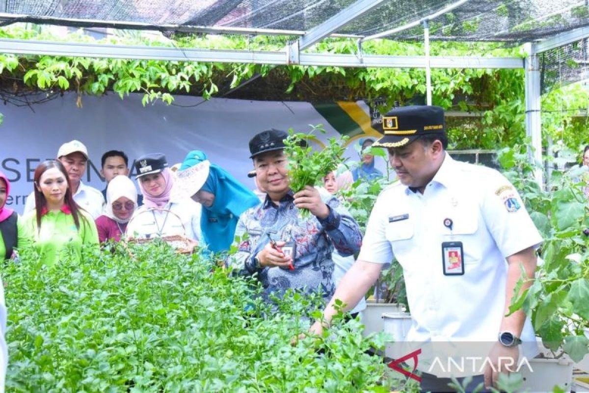 Pemkot Jaktim gelar panen raya serentak di 240 titik urban farming 