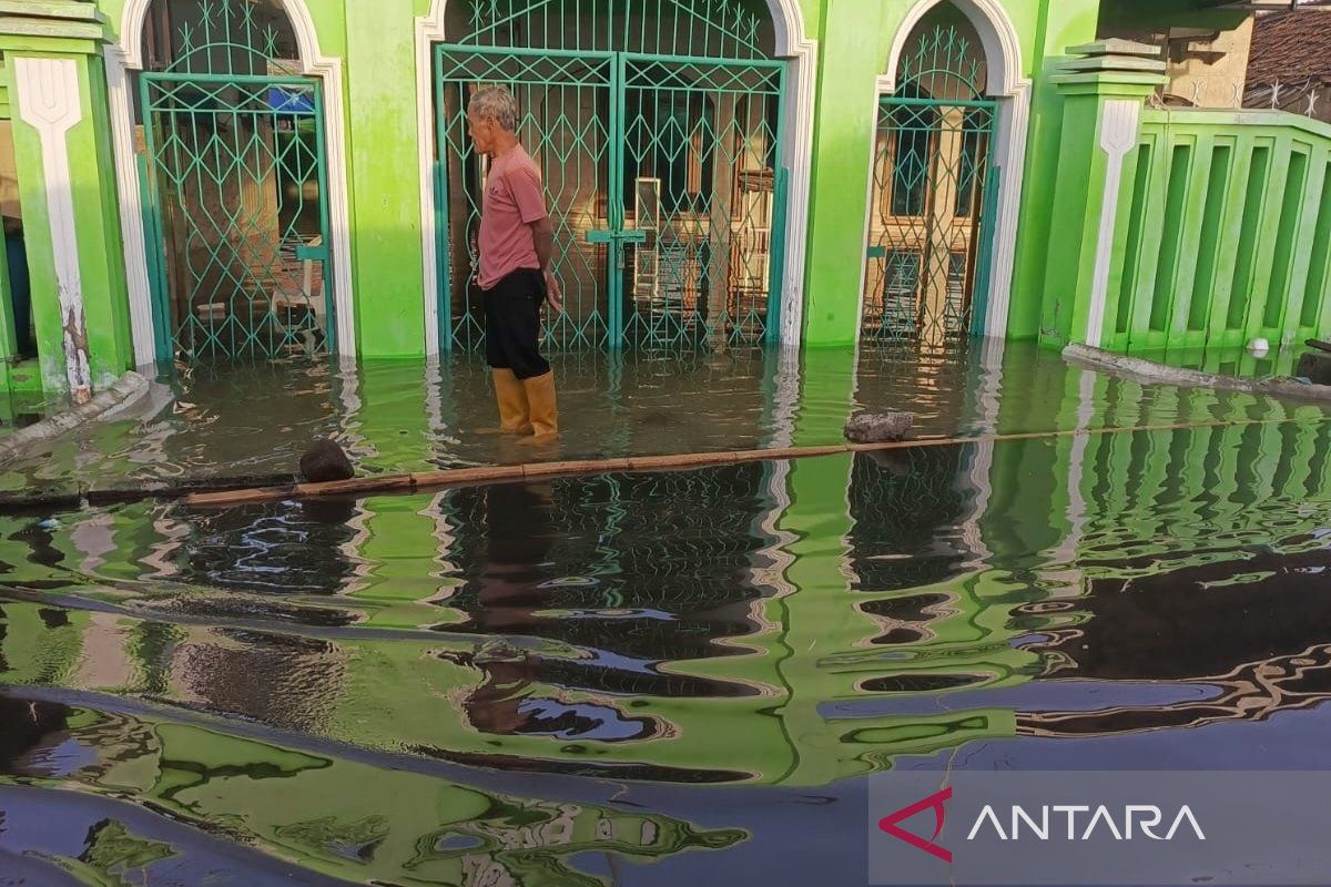 Banjir kembali melanda dan merusak ratusan hektare sawah di Kabupaten Indramayu