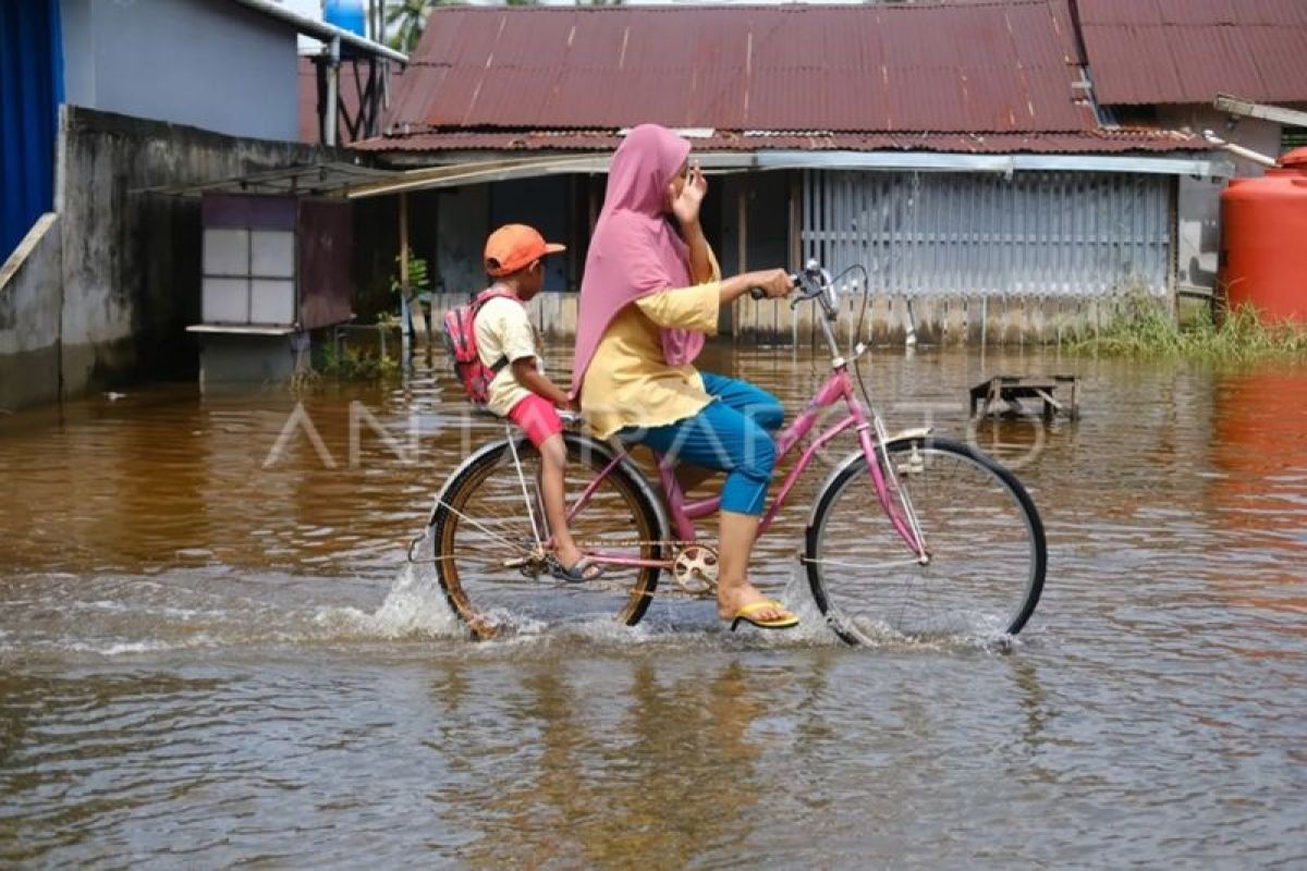 Banjir rob di Sungai Kakap Kalbar