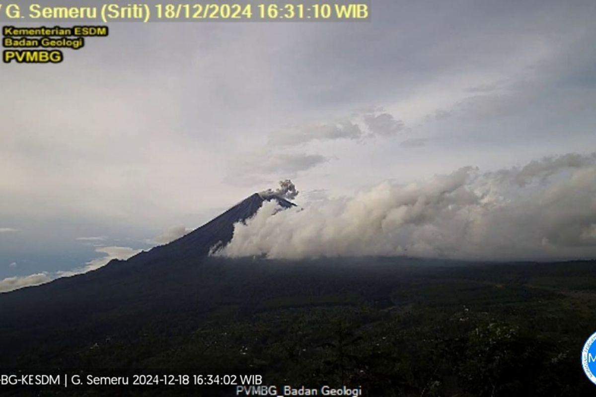 Semeru erupsi dengan letusan setinggi 800 meter di atas puncak