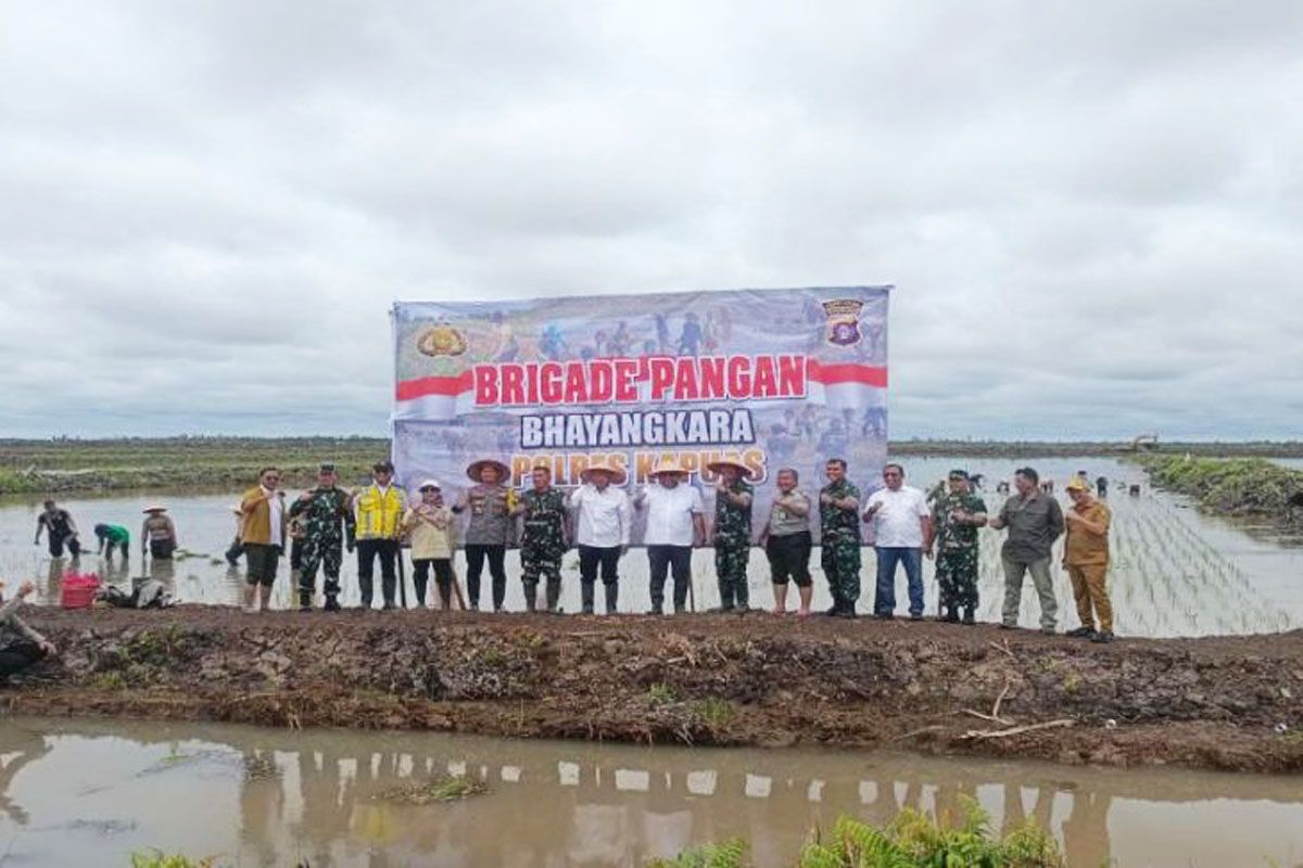 Kementan menggandeng TNI-Polri perkuat Brigade Pangan di Kapuas