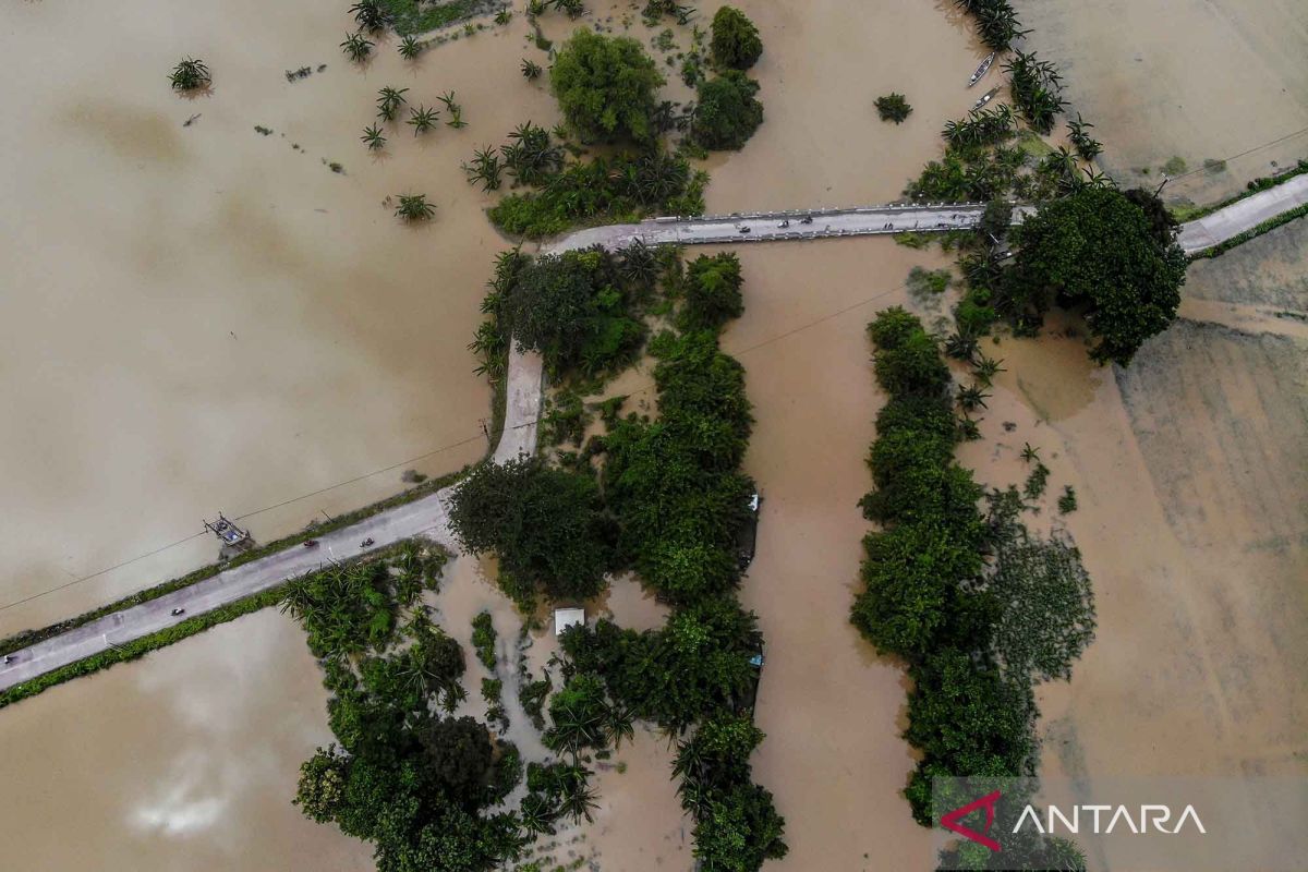 Sawah seluas 847 hektare di Bojonegoro terendam banjir