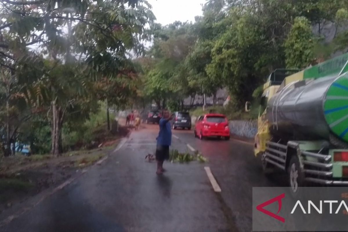 Pemkab Jayapura rapikan pohon jalan protokol cegah kecelakaan