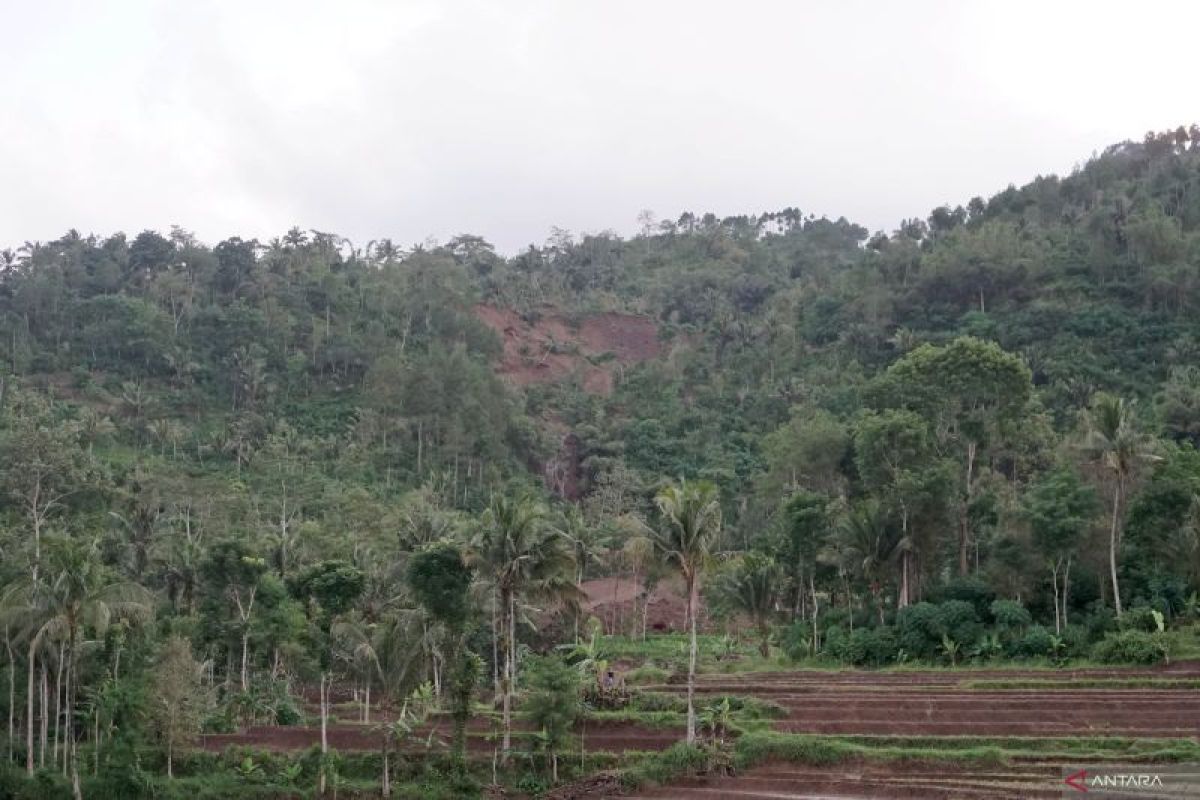 Antispasi tanah gerak, Trenggalek galakkan penanaman pohon akar kuat