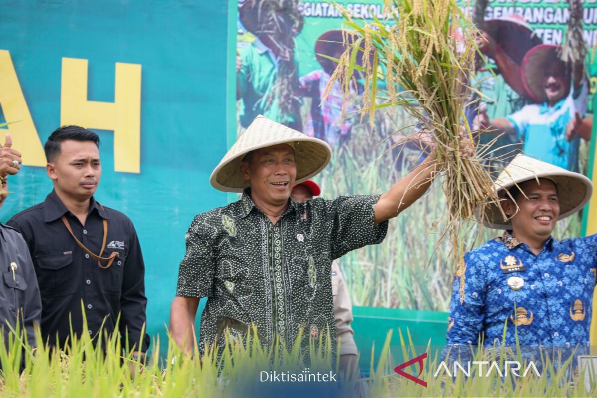 Wamendiktisaintek dukung kolaborasi pendidikan tinggi untuk bangun desa