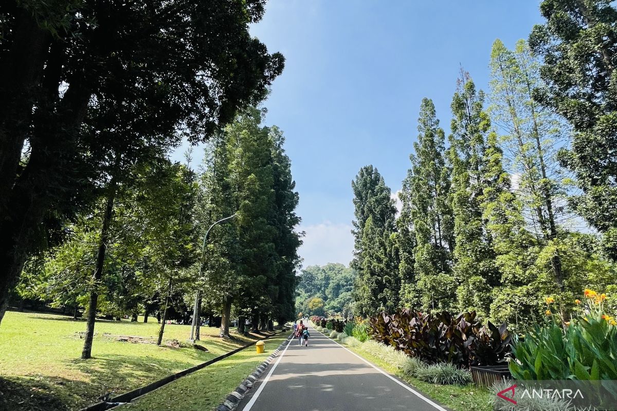 Kebun Raya Bogor laporkan kekerasan oknum pengunjung terhadap satpam ke polisi