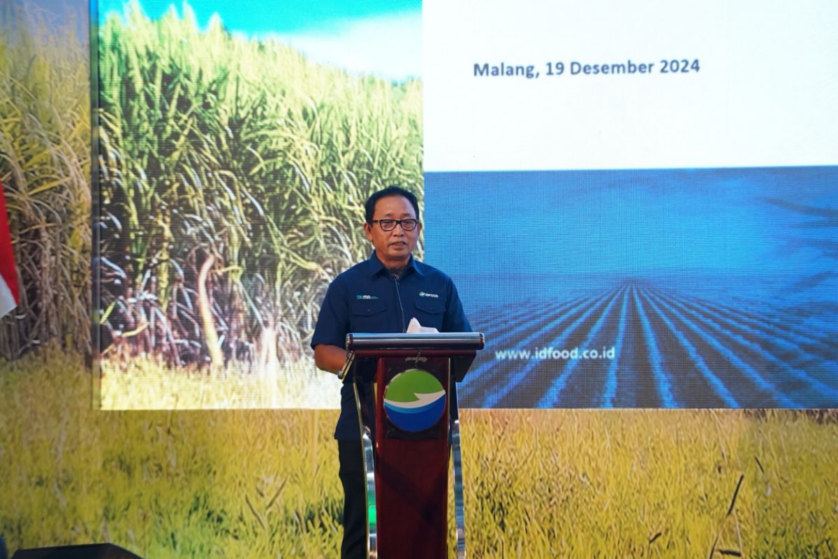 ID FOOD: Perluasan lahan tebu mampu genjot produksi gula 2025