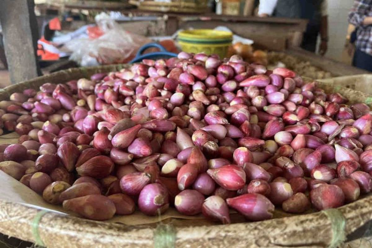 Harga pangan Jumat mayoritas turun, bawang merah jadi Rp39.150 per kg