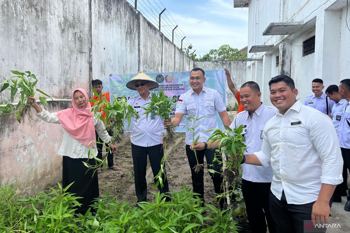 Lapas Martapura  bina warga binaan bertani sayur mayur