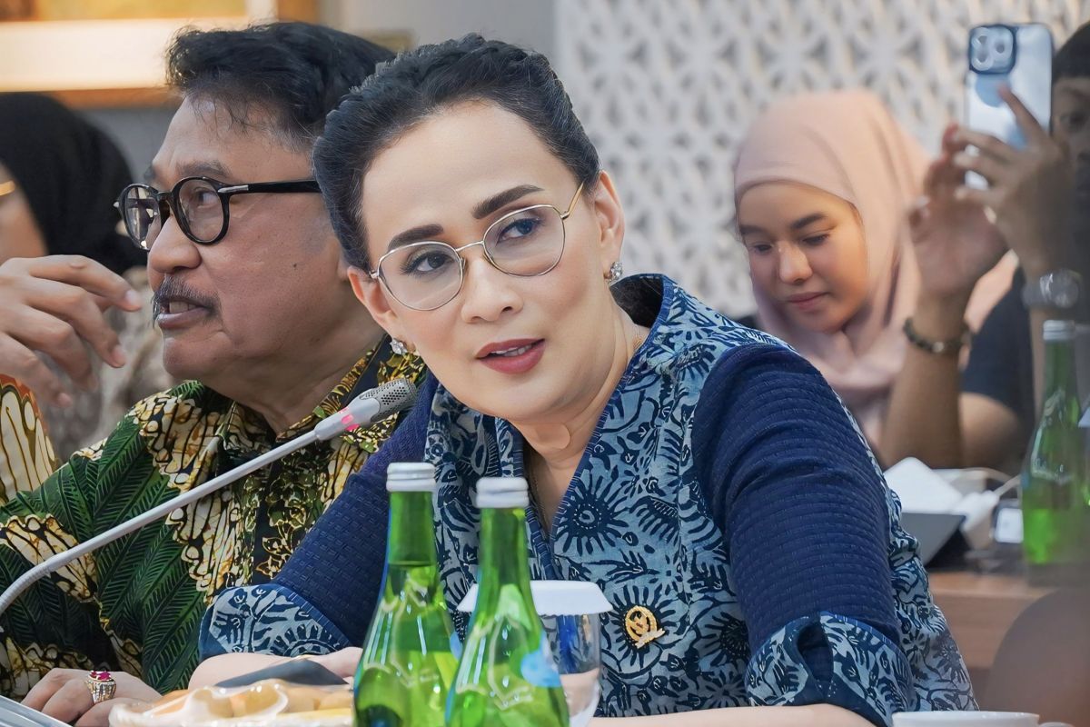 Pemeriksaan Budi Arie jadi pengingat pengawasan Komdigi