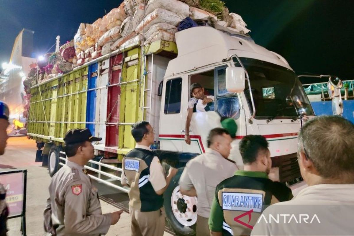 Bungkil sawit dan buah impor tak berdokumen disita