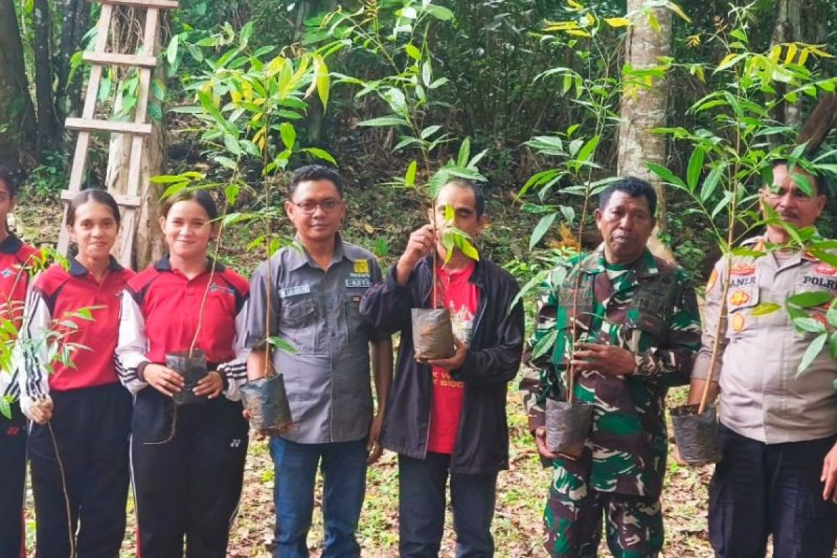 Sor Silai Tanimbar Gelar Sarasehan dan Aksi Menanam Pohon Peringati HMPI