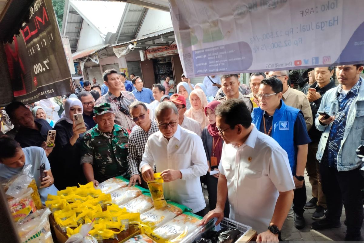 Menko Pangan kunjungi pasar pastikan harga kebutuhan pokok stabil