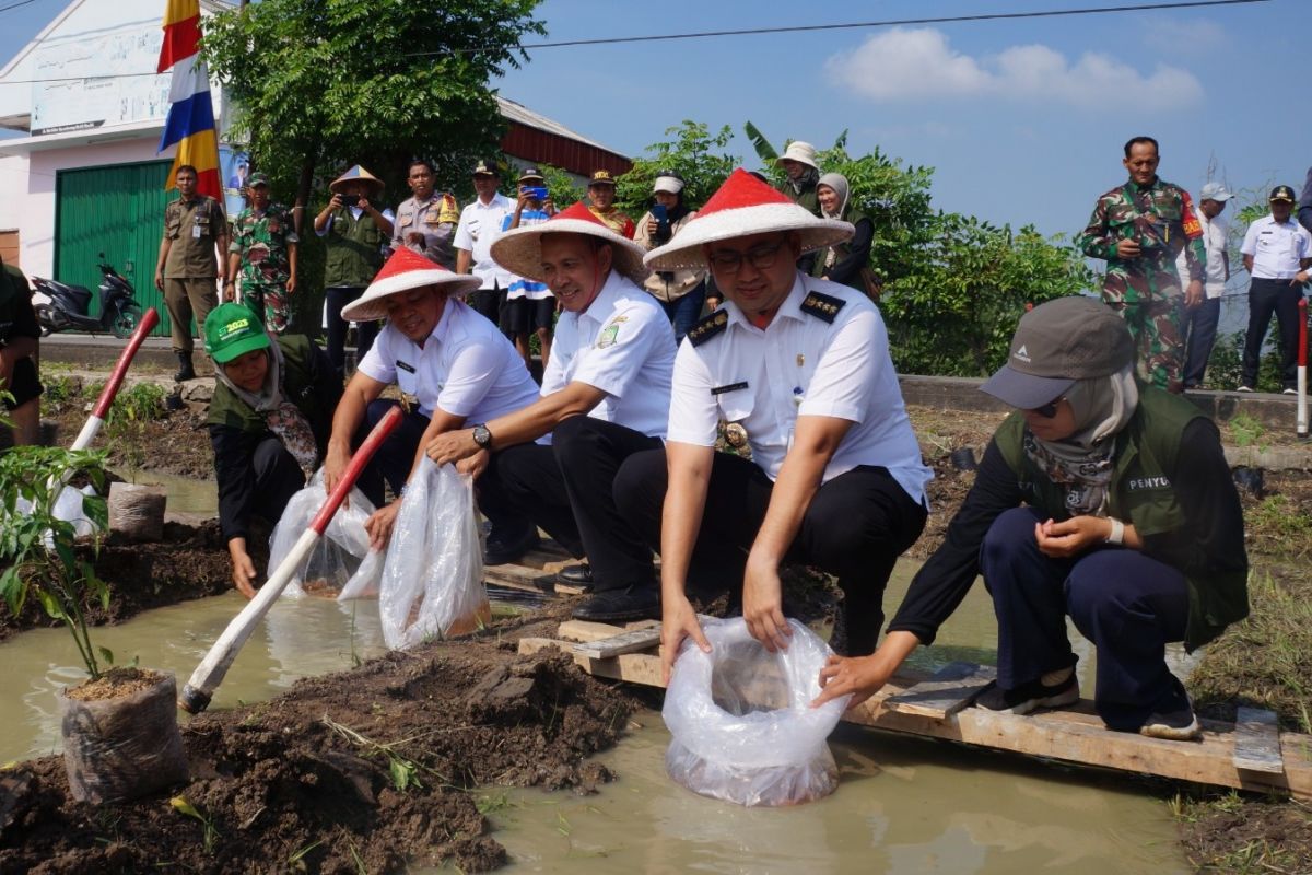 Penyaluran 165.000 bibit ikan disebut upaya wujudkan ketahanan pangan