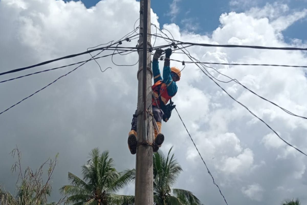 PLN Sumut pulihkan jaringan listrik  pascabanjir bandang di Tapsel