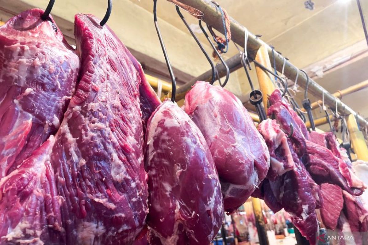 Sabtu ini, harga daging sapi jadi Rp131.990 per kg