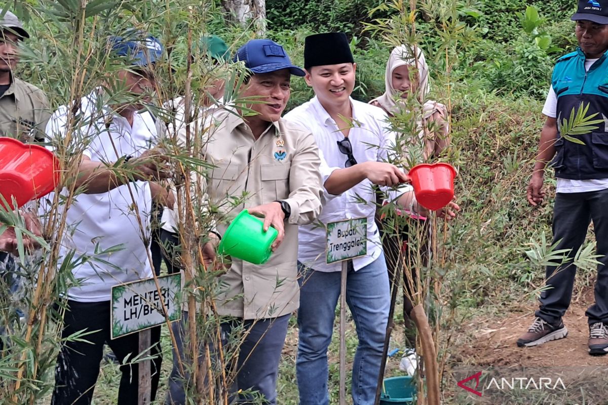 Menteri LH tanam bambu di Trenggalek