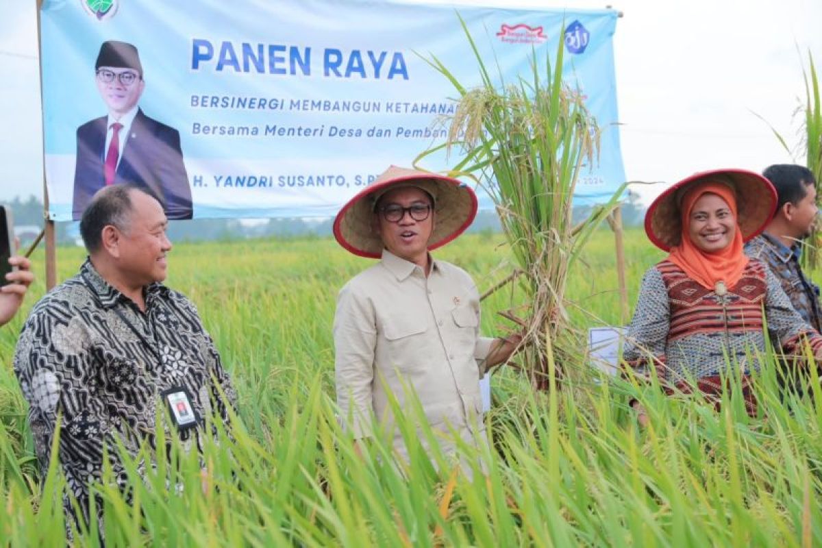 Mendes: BUMDes efektif kurangi tingkat pengangguran di desa