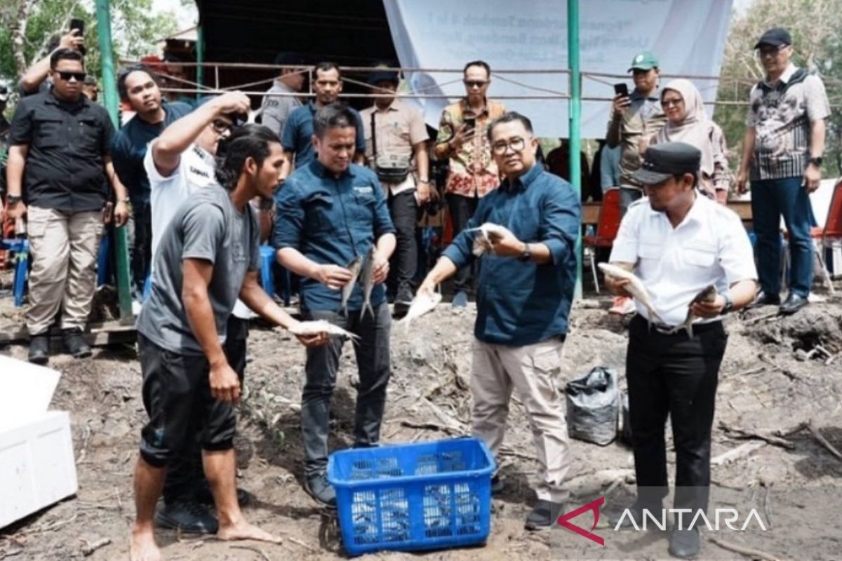 Lahan mangrove mati  di Kaltim bisa dikelola untuk perikanan