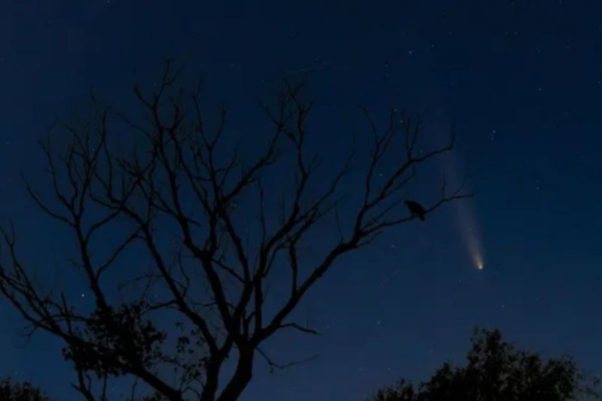 Viral!! Misteri lintang kemukus di langit malam Malioboro Yogyakarta